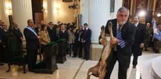 Un perrito en el Tedeum de la Catedral