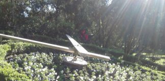 Reloj Floral del Parque