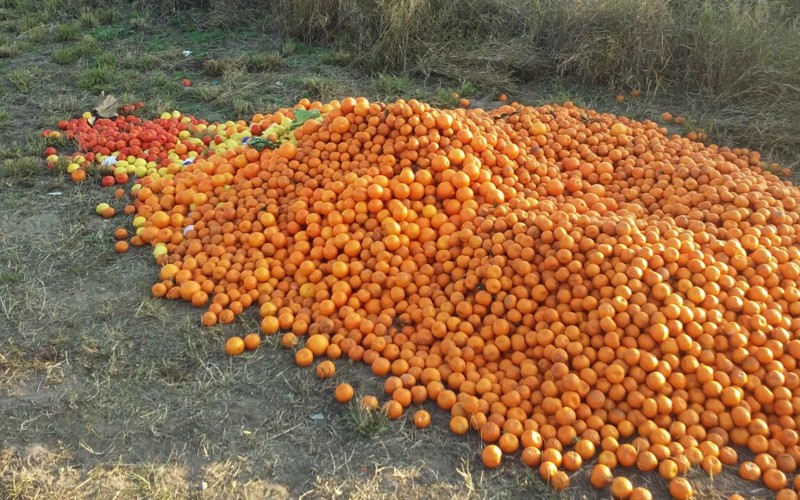 a_web_16-07-22_crns_decomiso_fruta_citrica_2_copia