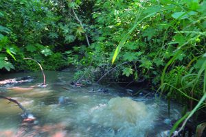 Contaminación en Tafí Viejo