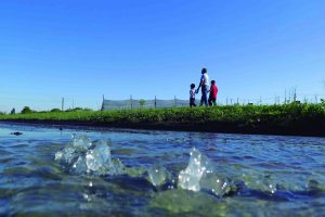 Contaminación en Tafí Viejo