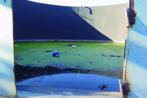 Contaminación en Tafí Viejo