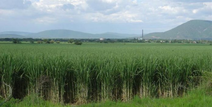 379621_20160713001150