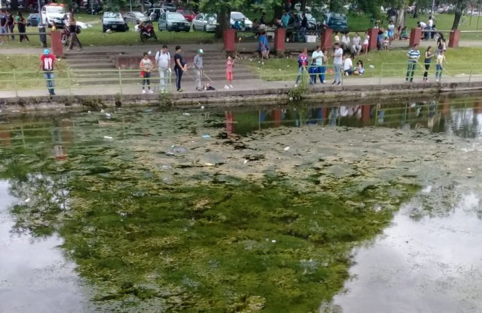 Basura-en-el-Lago-San-Miguel