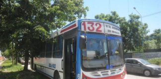 Colectivo