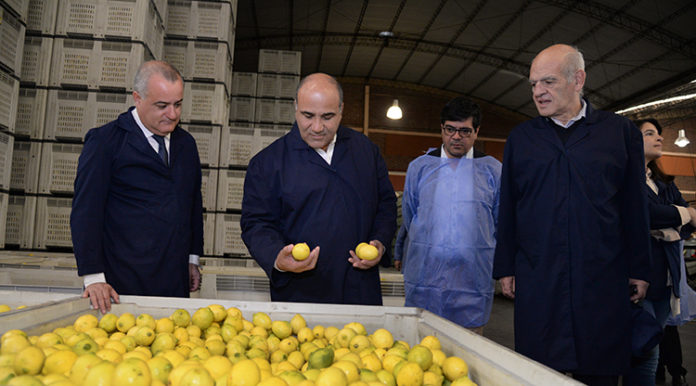 manzur-zamora-citrus-1