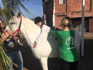 La-equino-terapia-fue-aprobada.