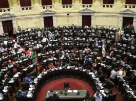 La oposición busca resistir en el Congreso a la “ola de privatizaciones” y ajustes