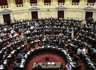 La oposición busca resistir en el Congreso a la “ola de privatizaciones” y ajustes