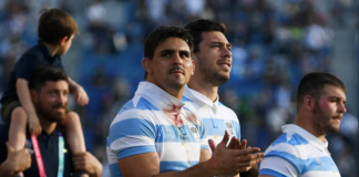los-pumas.png