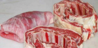 carne-png