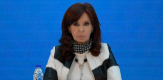 cristina-senado.png