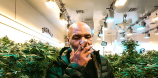 fuma-marihuana.png