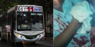 colectivo.png
