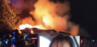 muerte-concepción.png