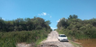 ruta 334.png