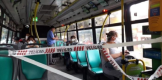 colectivo.png