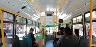 colectivo.png