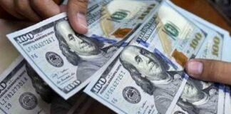 dolar