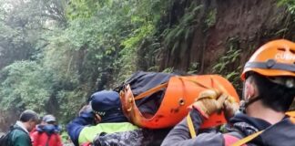 accidentado