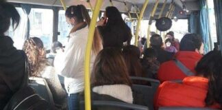 colectivo