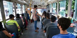 colectivo