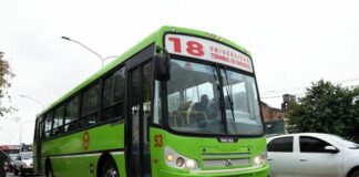 nuevo colectivo