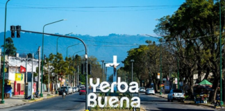 yerba buena