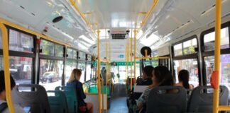 colectivo