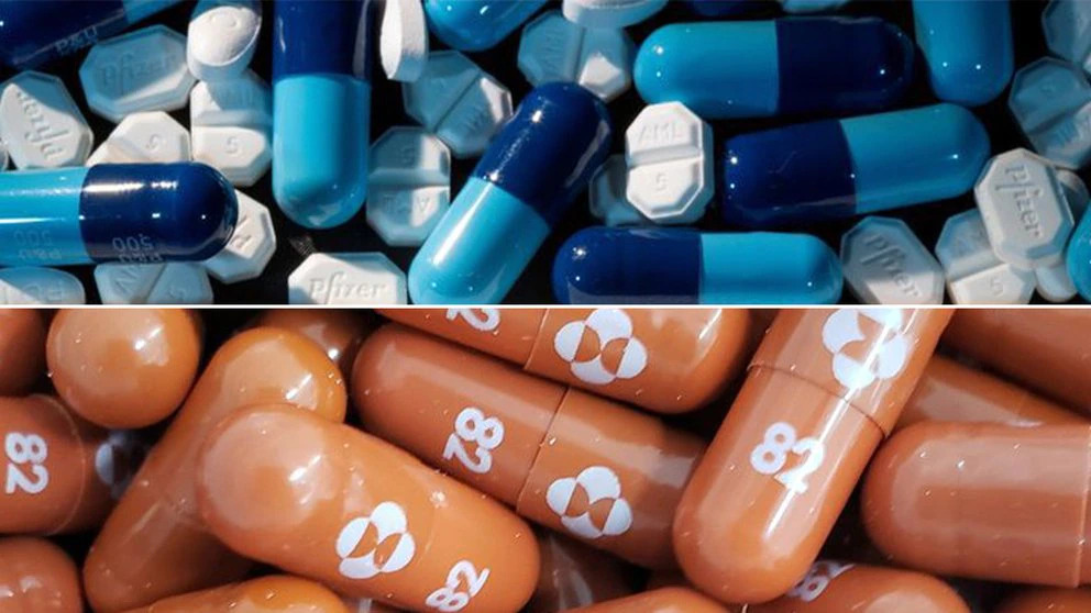 O26ZXLLRAFCXVPBL7H6GNSYBF4 covid