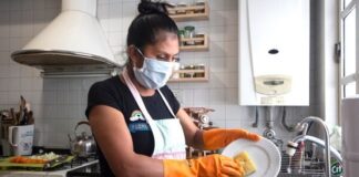 domestica