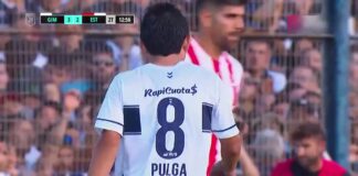pulga