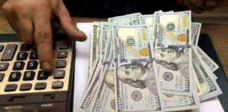 dolar