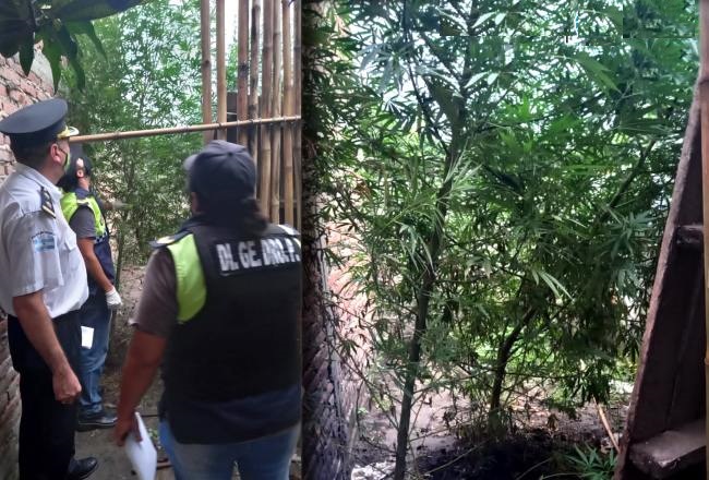 650x440_220121193118_68178 droga