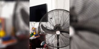 luz