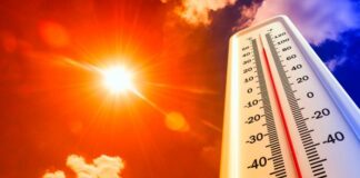 calor