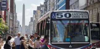 colectivo
