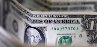 dolar