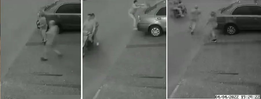 555x316_220323212426_95579 robo