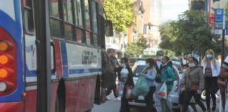 colectivos