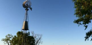 campo