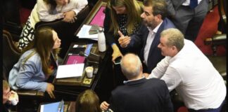diputados