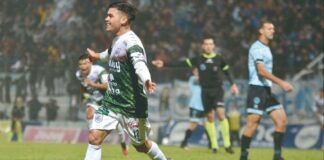 lobo
