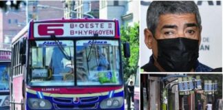 colectivos