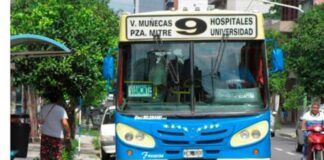 colectivo