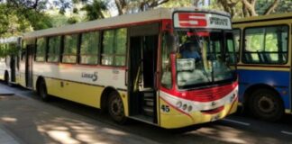 colectivo