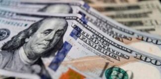 dolar