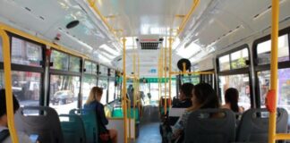 colectivo
