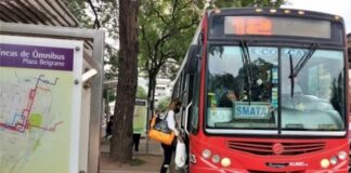 colectivos