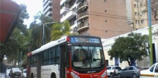 colectivos